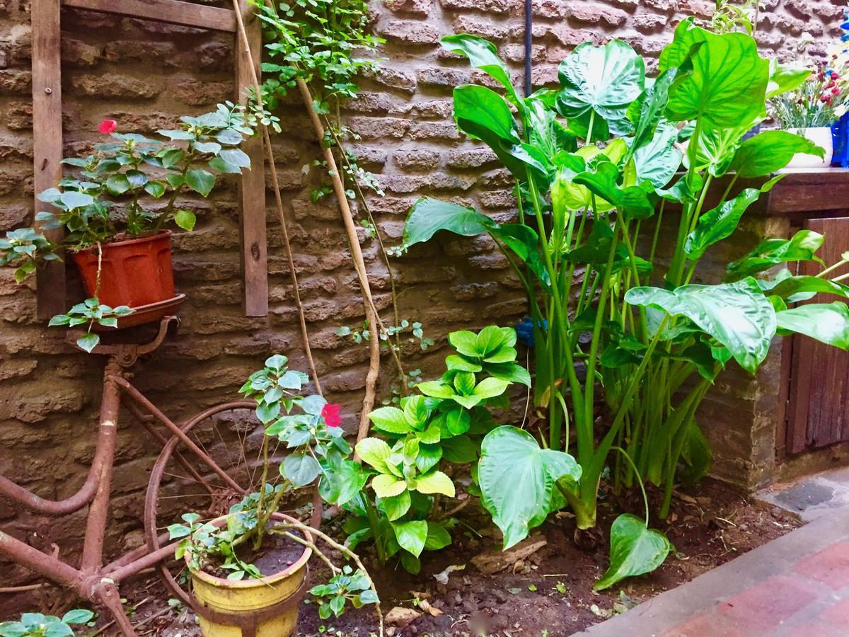 Lina'S Tango Guesthouse Buenos Aires Eksteriør bilde